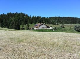 Gîtes Tré Le Grenier, Hotel in Les Moussières