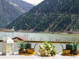 UZUNGÖL ADİLOGLU SUIT, hotell i Uzungöl