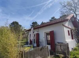 D&D, La maison des écureuils