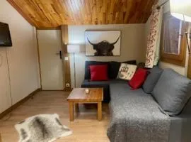 Appartement spacieux proche centre village avec balcon et vue Mont Blanc - FR-1-181-2479