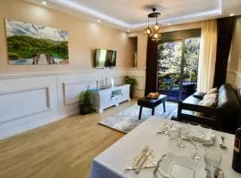 Central Park Apartment