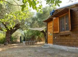 The poet's house