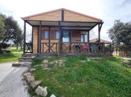 Camping El Picachuelo, κάμπινγκ σε El Berrueco