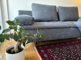 Ljubljanica Apartment