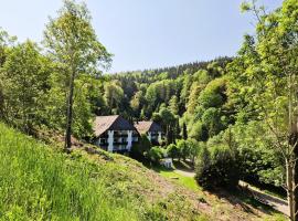 Ferienwohnung in Triberg am Waldrand - idyllisch, ruhig, erholsam, hotel v mestu Triberg