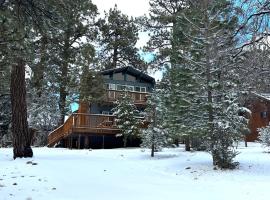 The Bear Hut - The perfect home away from home!, hotel in Big Bear Lake