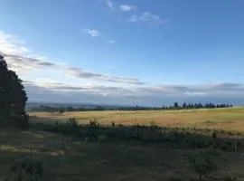 2 Bedroom Suite: Views, Private Entrance, EVchgr