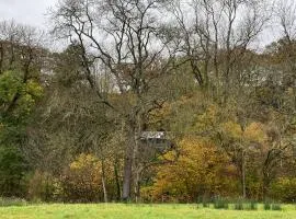The cabin at Abberley Glamping