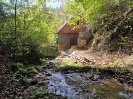 Stari mlin Franja/Old Mill Franja, vila v Šentrupertu