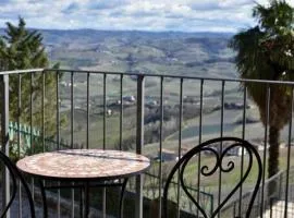 Sky & Vineyards - Mora -