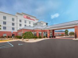 Hilton Garden Inn Benton Harbor, готель у місті Бентон-Гарбор