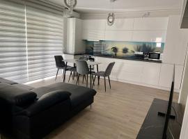 Modern and Luxury Apartment-12, hotel en Baia Mare
