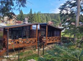 Chalet Amik, chalet de montaña en Bușteni