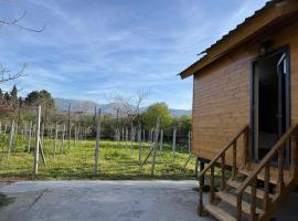 Orion Cottage, hôtel à Batoumi