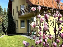 Dunajec Home, cottage in Chełmiec