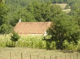 The Lake's House