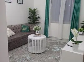 Havy Homes