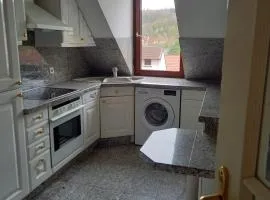Ferienwohnung Enz, 3 OG.