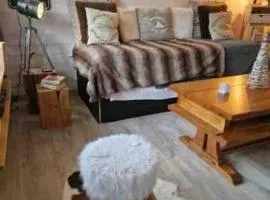 Studio rénové avec terrasse, parking , proche pistes,Villard de Lans