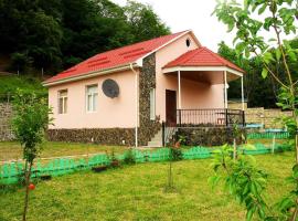 Guliyev Home, hišnim ljubljenčkom prijazen hotel v mestu Qax