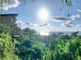 Cotinga Nest - King Bed, Ocean View