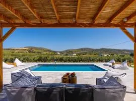 Antiparos Villa Oliva