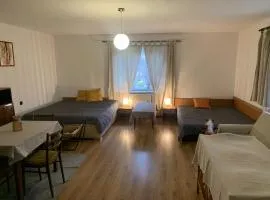 Usadlosť pri lúke