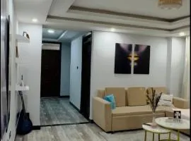 Condo near to the airport, beside Shola supermarket and close to Megenagna square