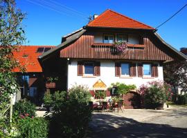 Gießler Modern retreat, holiday home in Biberach