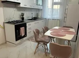 Apartament pe pietonala nr1