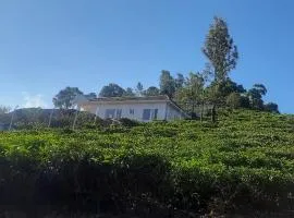 Wilderness Vila