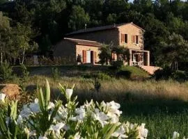 Ferienhaus in Montescudaio mit Großem Garten - b51833