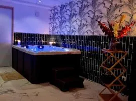 Romantique room St Michel de Lanes (love room)