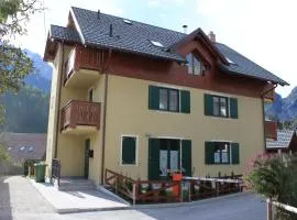 Apartment Mojstrovka with Terrace in city center