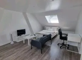 Bright and cozy room close to airport Grenier