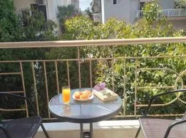comfortable apartment near the beach