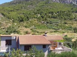 Apartments with parking space Komiza, Vis - 22657