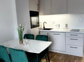 Apartament na Orkana