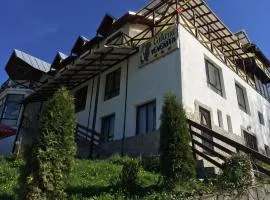 Pensiunea Cabana Veverita Valea Doftanei、Trăisteniのゲストハウス