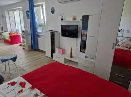 Apartma Petja