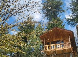 Green Himalayan Treehouse Jibhi, holiday home in Jibhi