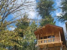 Green Himalayan Treehouse Jibhi