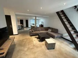 Loft du Maine Laval Centre