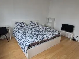 Bright and cozy room close to airport moyen