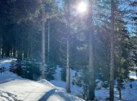 Ferienwohnung Dalmatiner