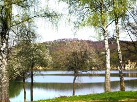 Brama Sanu - Bieszczady, hotel di Olchowiec