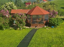 Nona Highland Home Moieciu - pet friendly total, Hotel in Moieciu de Jos