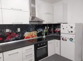 DM Hostel and Apartments