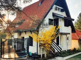 Sveti Pantelejmon Divčibare