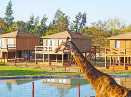 Safari Lodge, hotel familiar a Rancagua